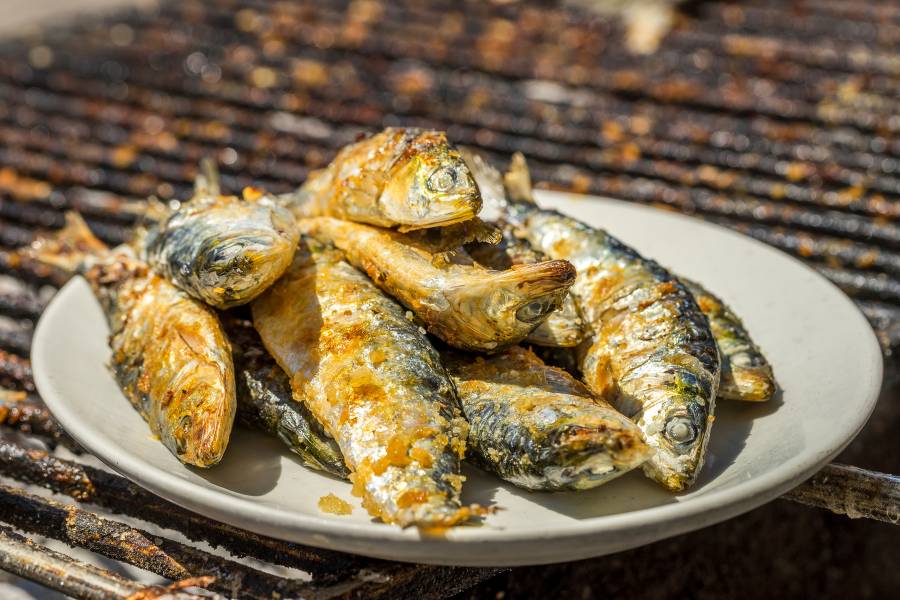 Sardinha